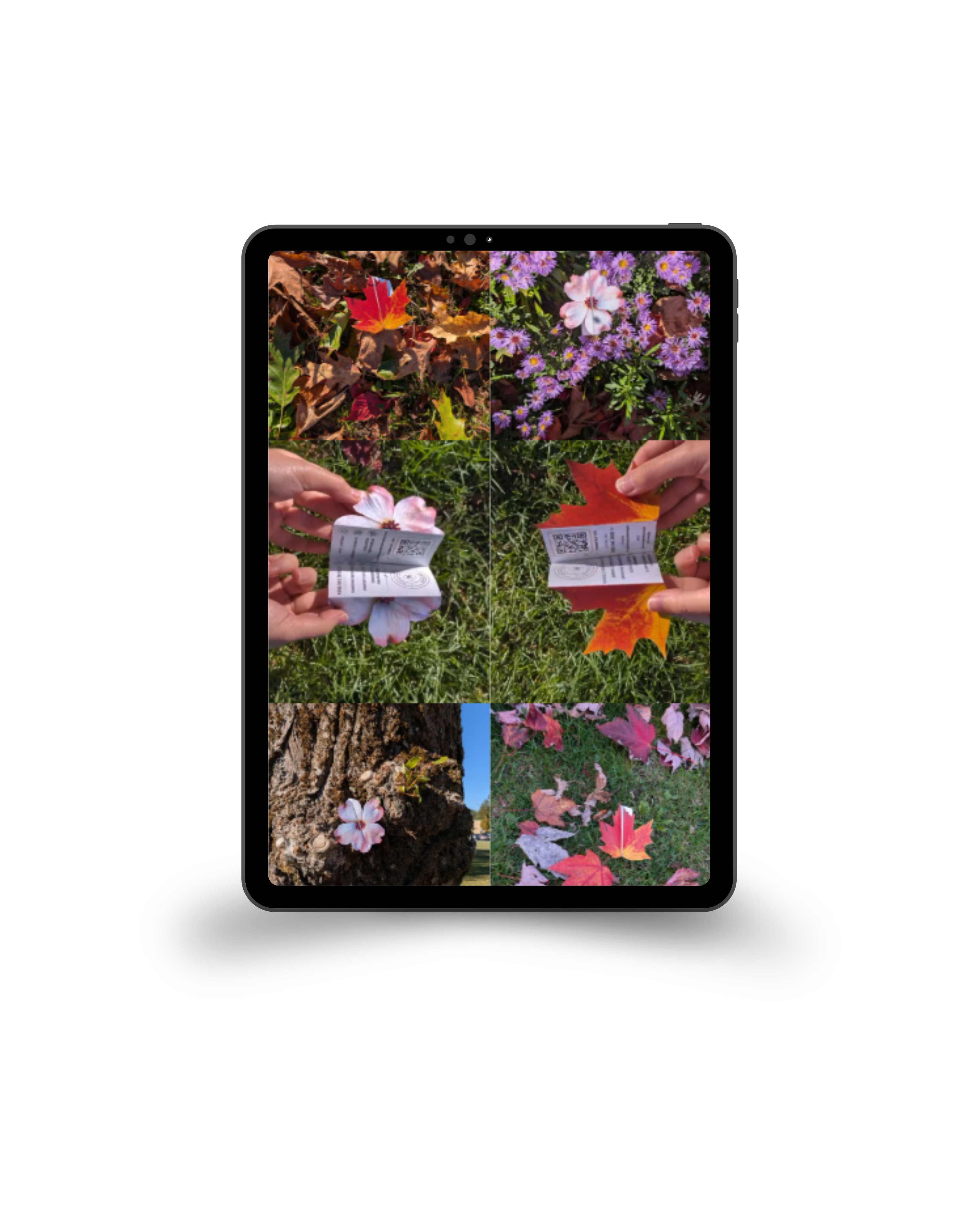 Beyond the Flyer  preview